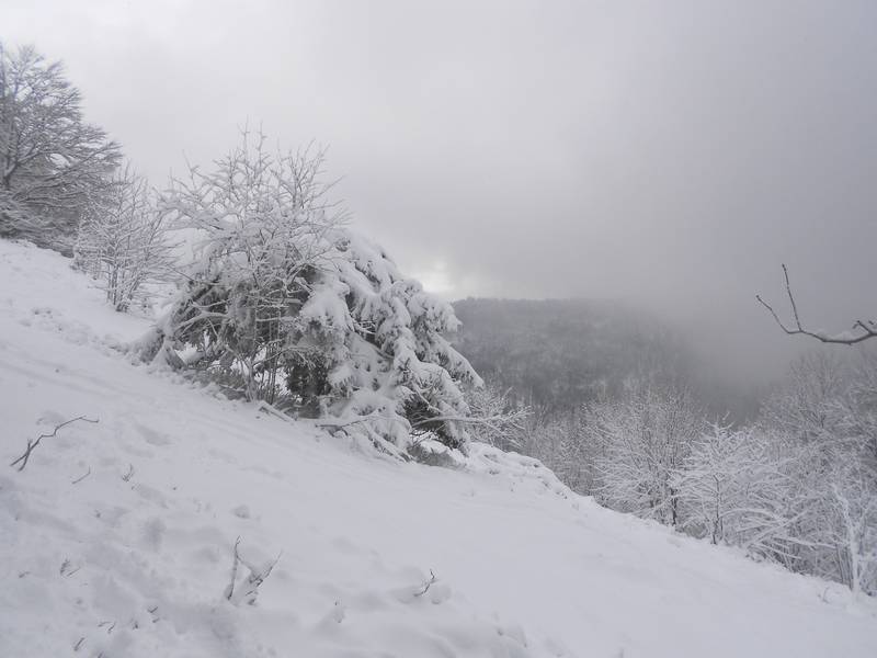 DSCN0891