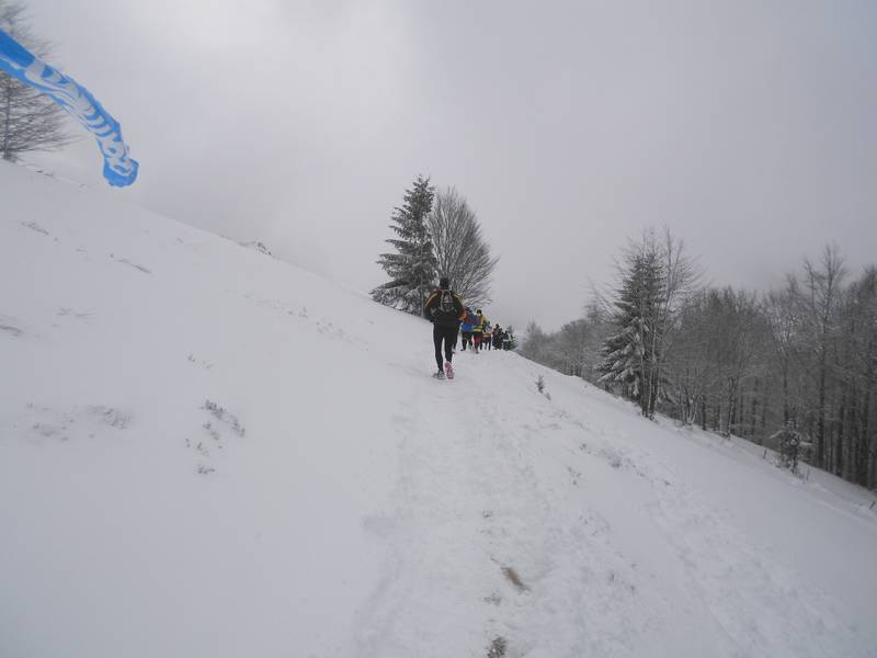 DSCN0937