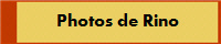 Photos de Rino